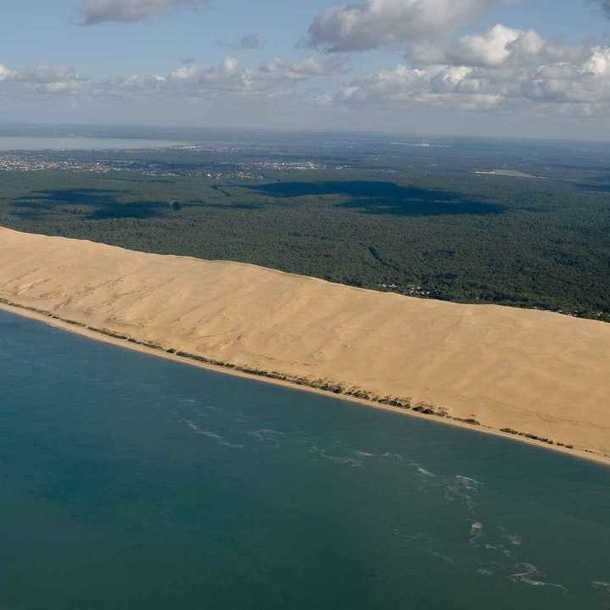 Découverte archéologique de la Dune du Pilat